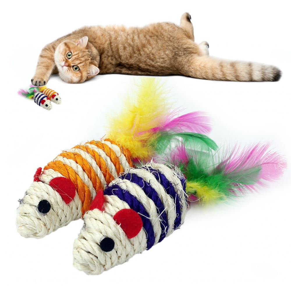 CAT-SISALMOUSE 07 2.jpg